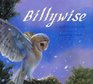 Billywise