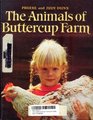 The Animals of Buttercup Farm