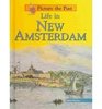 Life in New Amsterdam (Picture the Past)