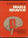 Brain  behavior An introduction to physiological psychology