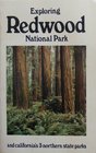 Exploring Redwood National Park