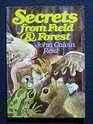 Secrets from field  forest