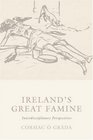 Ireland's Great Famine Interdisciplinary Perspectives