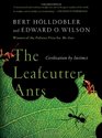 The Leafcutter Ants Civilization by Instinct