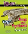 Boas and Pythons Cool Pets