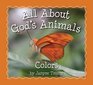 All About God's AnimalsColors