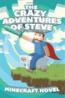 The CRAZY Adventures of Steve A Minecraft Novel