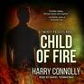 Child of Fire A Twenty Palaces Novel
