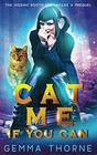 Cat Me If You Can (The Hissing Booth Chronicles)