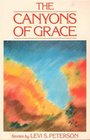 Canyons of Grace: Stories (Illinois Short Fiction)