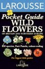 Wild Flowers of Britain and Northern Europe