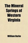 The Mineral Springs of Western Virginia