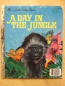 A Day in the Jungle