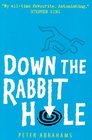 Down the Rabbit Hole: An Echo Falls Mystery