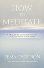 How to Meditate A Practical Guide to Making Friends with Your Mind