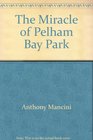 The Miracle of Pelham Bay Park