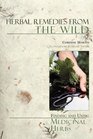 Herbal Remedies From The Wild Finding And Using Medicinal Herbs