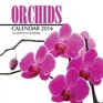 Orchids Calendar 2016 16 Month Calendar