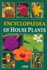 Encyclopedia of House Plants