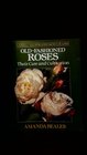 Old Fashioned Roses Their Care and Cultivation