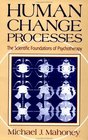 Human Change Processes The Scientific Foundations of Psychotherapy