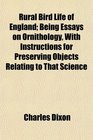 Rural Bird Life of England Being Essays on Ornithology With Instructions for Preserving Objects Relating to That Science