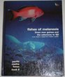 Fishes of Melanesia