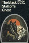 The Black Stallion's Ghost (Black Stallion, Bk 17)