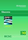 Basic and Clinical Science Course 20102011 Section 10 Glaucoma