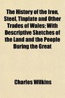 The History of the Iron Steel Tinplate and Other Trades of Wales With Descriptive Sketches of the Land and the People During the Great