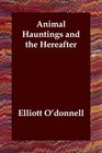 Animal Hauntings and the Hereafter