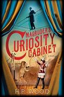 Magruder's Curiosity Cabinet: A Novel