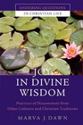 Joy in Divine Wisdom Practices of Discernment from Other Cultures and Christian Traditions