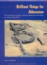 Brilliant Things for Akhenaten The Production of Glass Vitreous Materials and Pottery at Amarna Site 0451