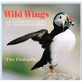 Wild Wings An Introduction to Birdwatching