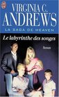 La Saga de Heaven  le labyrinthe des songes