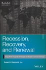 Recession, Recovery, and Renewal: Long-Term Nonprofit Strategies for Rapid Economic Change (Wiley Nonprofit Authority)