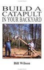 Build a Catapult in Your Backyard