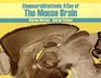 Chemoarchitectonic Atlas of the Mouse Brain