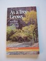 As a Tree Grows: Reflections on Growing in the Image of Christ