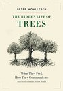 The Hidden Life of Trees What They Feel How They CommunicateDiscoveries From a Secret World