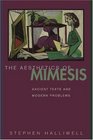 The Aesthetics of Mimesis  Ancient Texts and Modern Problems