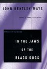 In the Jaws of the Black Dogs A Memoir of Depression