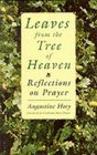 Leaves from the Tree of Heaven Reflections on Prayer