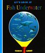 Let's Look at Fish Underwater