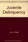 Juvenile Delinquency Theory Practice a