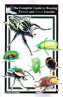 The Complete Guide to Rearing Flower and Jewel Scarabs