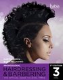 Professional Hairdressing The Official Guide to Level 3