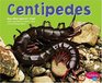 Centipedes