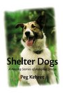 Shelter Dogs Amazing Stories of Adopted Strays